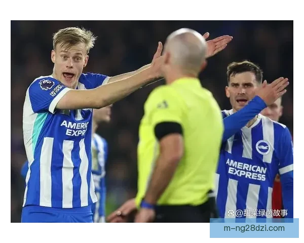 倒钩绝平科斯图拉斯助布莱顿战平