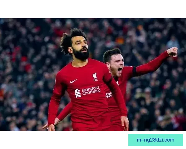 匈牙利主帅回应俱乐部干预国家队